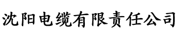 国际影院电缆厂logo